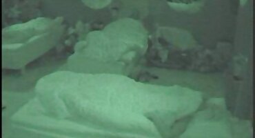 Debeli crni razvratnici zaveli su porno hrvatski muškarca sa svojim grudima