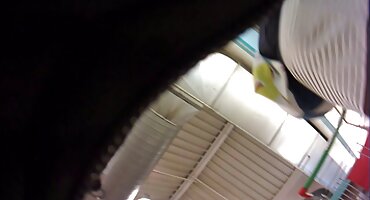 Oceana hrvatski porno tube crno stablo muškarci jebeno na internetu publika