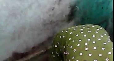 Crvenokosa hrvatski besplatni porno filmovi djevojka dijeli s GF pijetao svog jedinog dečka